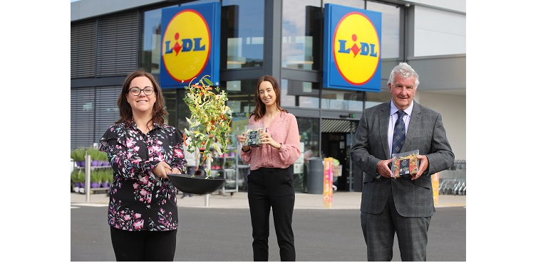 Lidl NI wILLOWBROOK