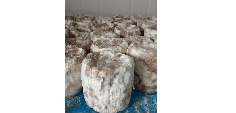Web-City-Cheese-Co-Goats-Cheese.jpg