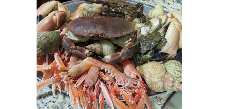 Sea-Source-Harvest-web.jpg