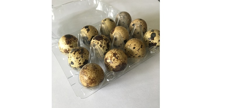 Quail-Eggs-web.jpg