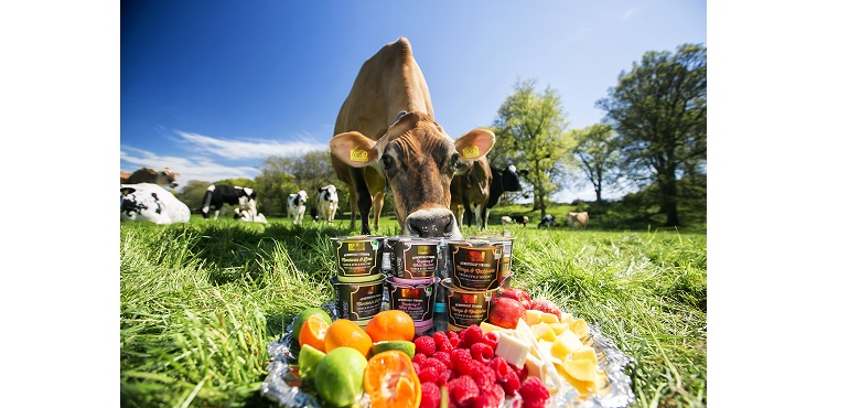 CLANDBOYE-ALDI-Web.jpg