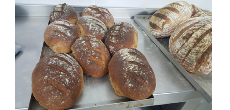 BlackBreadWeb.png