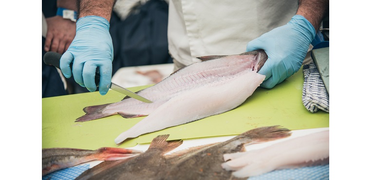 Web-Fish-23.jpg