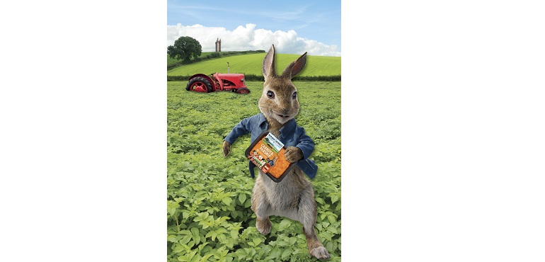 Web-Mash-Direct-Peter-Rabbit.jpg