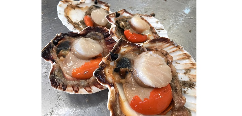 Web-Scallops.jpg
