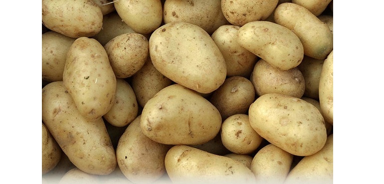 Web-Comber-Early-Potatoes.jpg