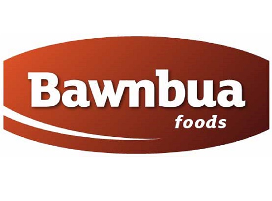 Web-Bawnbua-Foods-Ltd-Logo.jpg