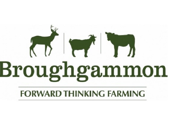 Broughgammon-Logo.jpg