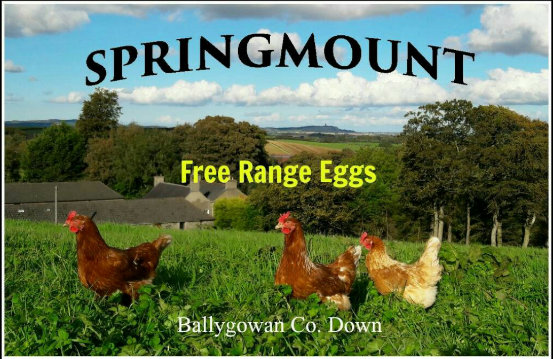 Springmount-Logo-revised.jpg