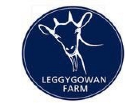 Leggygowan-Logo.jpg