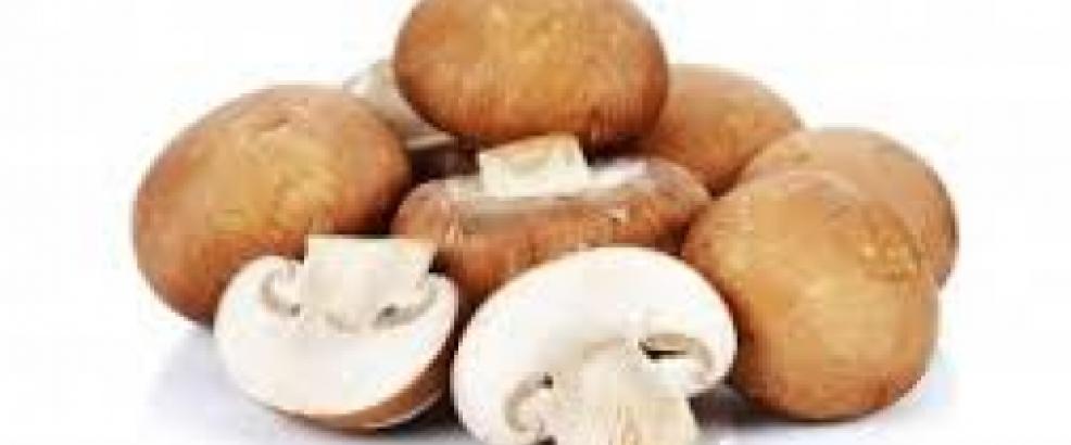 Chesnut-Loose.jpg